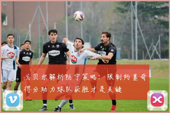 戈贝尔解析防守策略：限制约基奇得分助力球队获胜才是关键