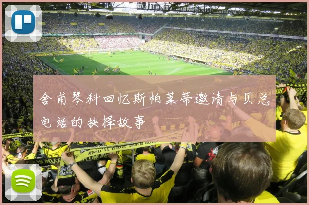 舍甫琴科回忆斯帕莱蒂邀请与贝总电话的抉择故事