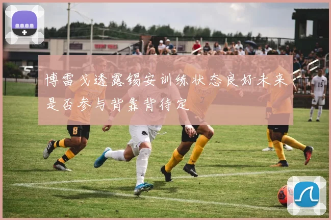 博雷戈透露锡安训练状态良好未来是否参与背靠背待定