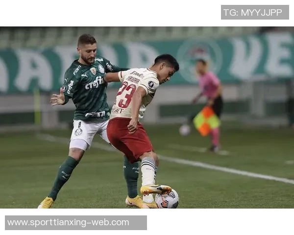 迈阿密即将租借帕尔梅拉斯中卫米凯尔并附带买断选项